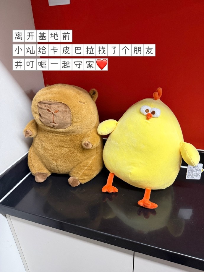 JDG分享照片回顾三月：四月继续，一起往更远的地方走